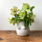 T1tty vase